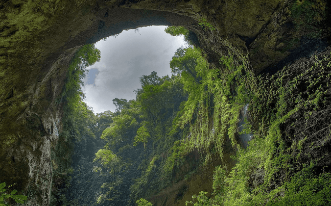 rainforest cave