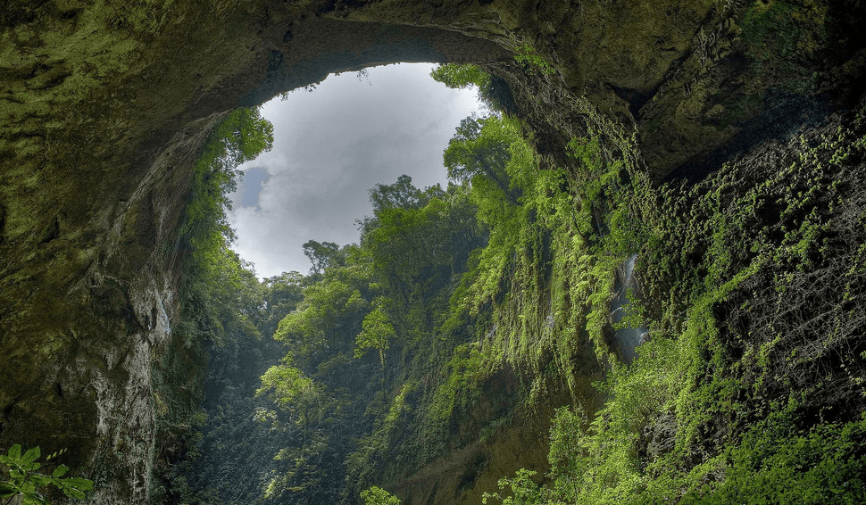 rainforest cave