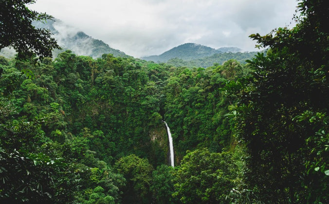 cloudy rainforest with waterfall
